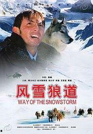 风雪狼道,穿越严寒的生存之旅