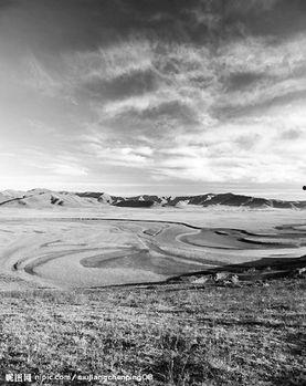 冷寂原野,探寻荒野之美与生命坚韧