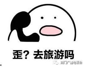 你想去哪里？,探索未知世界的奇妙旅程