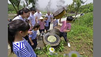 乡村星期天,探寻自然与宁静的完美融合