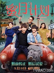 蜜月计划,浪漫攻略与难忘瞬间全记录